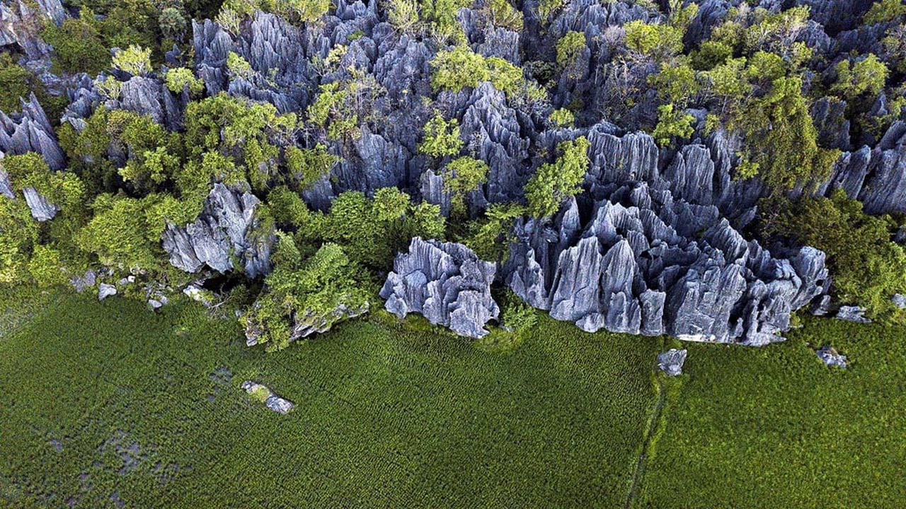 Landscape Hutan Batu